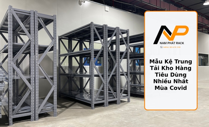 Mẫu Kệ Trung Tải Kho Hàng Tiêu Dùng Nhiều Nhất Mùa Covid Thumb