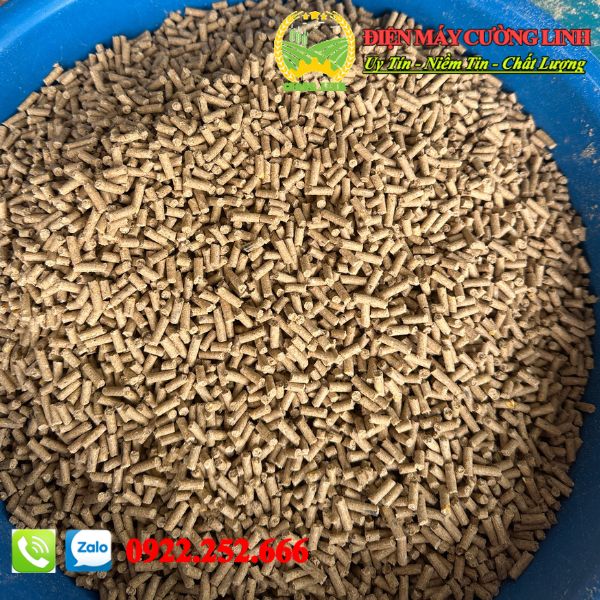 Thành phẩm viên cám đùn ra chắc mịn và thơm ngon
